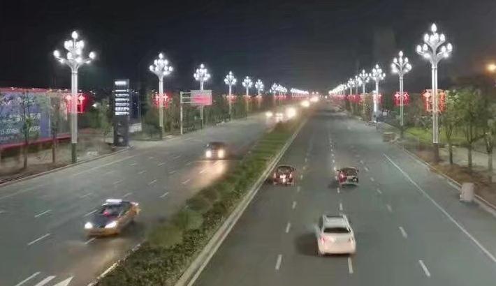 东莞草莓视频色板照明玉兰灯道路照明效果实景图